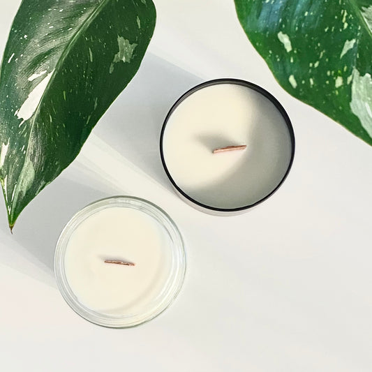 BOOK NOOK Soy Wax Candle Tonic + Wood Wick • 8.5oz matte black glass jar + lid