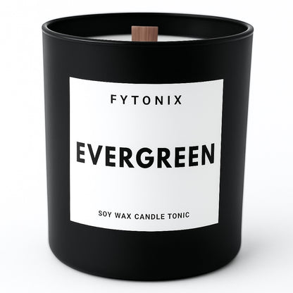 Evergreen soy candle fresh cut Christmas tree scent candle frasier fir candle Christmas tree fragrance candle frasier fir scent fragrance pine tree scent candle with wood wick comes in a matte black jar or a chrome jar candle 