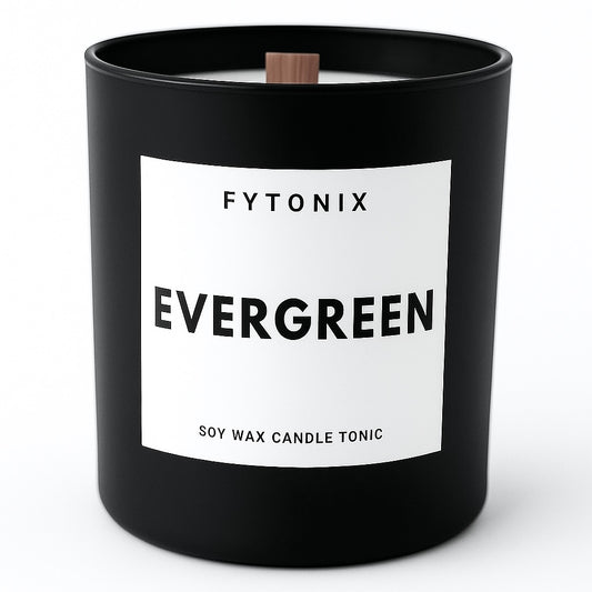 Evergreen soy candle fresh cut Christmas tree scent candle frasier fir candle Christmas tree fragrance candle frasier fir scent fragrance pine tree scent candle with wood wick comes in a matte black jar or a chrome jar candle 